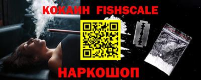 a pvp Свободный